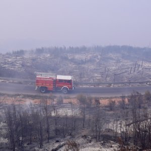 Apokaliptične fotografije uništene šume parka Biokovo