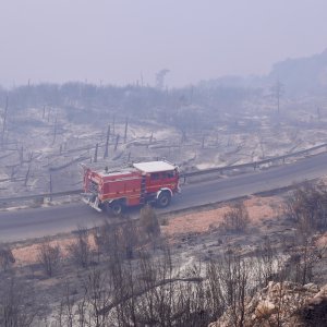 Apokaliptične fotografije uništene šume parka Biokovo