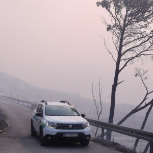 Apokaliptične fotografije uništene šume parka Biokovo