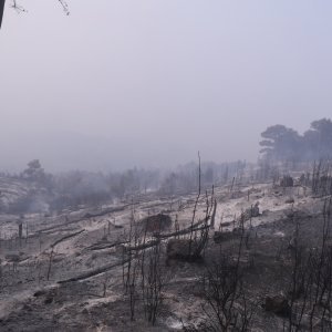 Apokaliptične fotografije uništene šume parka Biokovo