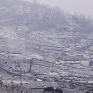 Apokaliptične fotografije uništene šume parka Biokovo