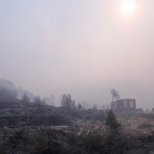 Apokaliptične fotografije uništene šume parka Biokovo