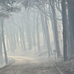 Apokaliptične fotografije uništene šume parka Biokovo