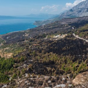 Biokovo nakon požara