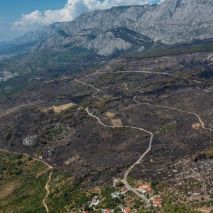 Biokovo nakon požara