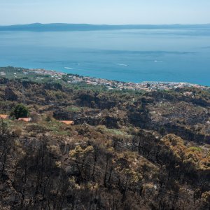 Biokovo nakon požara