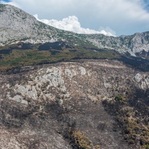 Biokovo nakon požara