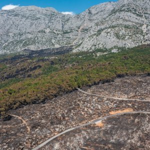 Biokovo nakon požara