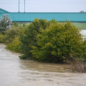 Izlila se rijeka Sava zbog obilnih padalina