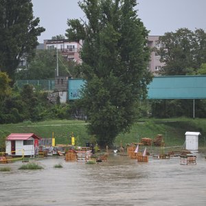 Izlila se rijeka Sava zbog obilnih padalina