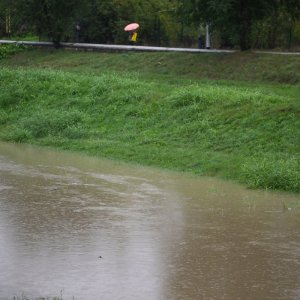 Izlila se rijeka Sava zbog obilnih padalina