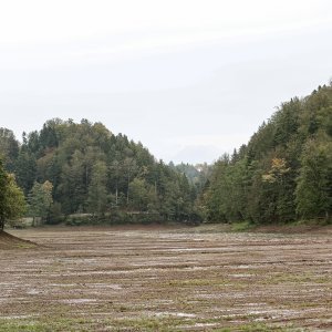 Trakošćansko jezero