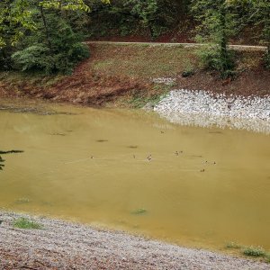 Trakošćansko jezero