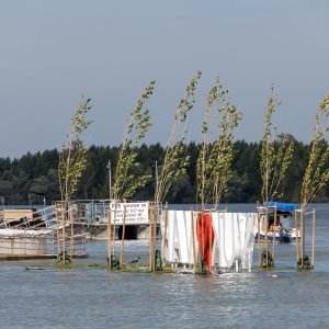 Vodostaj Dunava