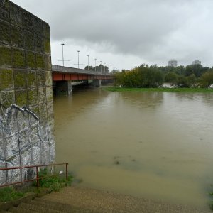 Rijeka Sava, Zagreb