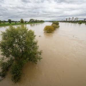 Povišen vodostaj rijeke Save