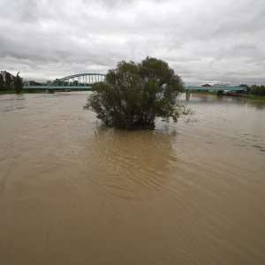 Povišen vodostaj rijeke Save