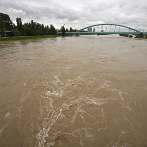 Povišen vodostaj rijeke Save