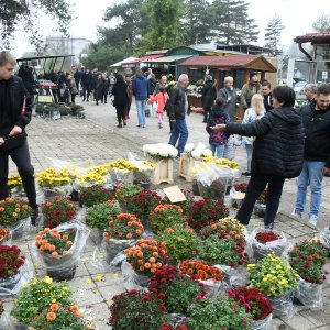 Blagdan Svih svetih