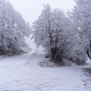 Snijeg na Zavižanu