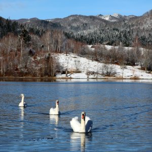 Lokve, Gorski kotar