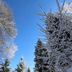 Lokve, Gorski kotar