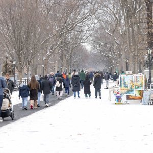 Snijeg u New Yorku