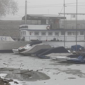 Tradcionalno zimsko kupanje u Dravi u osječkoj Zimskoj luci