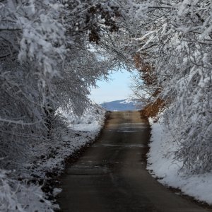 Biralište u Željeznom Žumberačkom