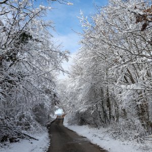 Biralište u Željeznom Žumberačkom