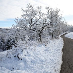 Biralište u Željeznom Žumberačkom