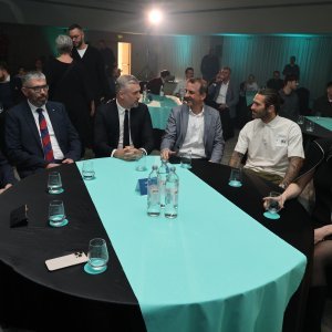 Blaženko Boban, Ivan Bilić, Stipe Pletikosa, Marko Livaja, Iris Livaja