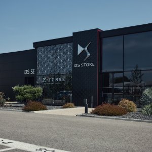 DS Store Valence