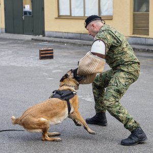 Dan otvorenih vrata na HVU