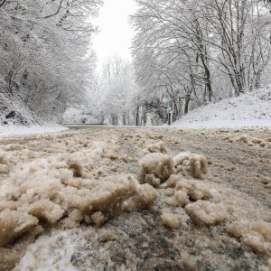 imska idila na Zelenoj magistrali iznad zagrebačkog naselja Gajnice