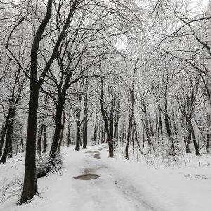 imska idila na Zelenoj magistrali iznad zagrebačkog naselja Gajnice