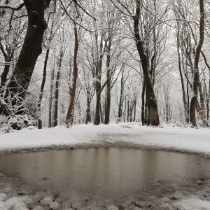 imska idila na Zelenoj magistrali iznad zagrebačkog naselja Gajnice