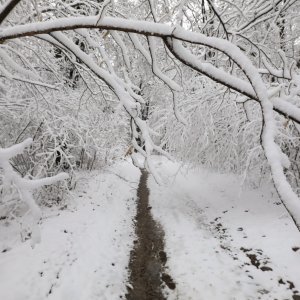 imska idila na Zelenoj magistrali iznad zagrebačkog naselja Gajnice