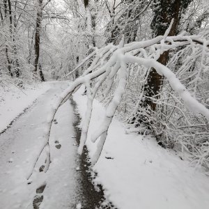 imska idila na Zelenoj magistrali iznad zagrebačkog naselja Gajnice