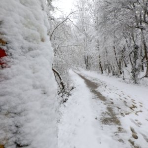 imska idila na Zelenoj magistrali iznad zagrebačkog naselja Gajnice