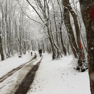 imska idila na Zelenoj magistrali iznad zagrebačkog naselja Gajnice