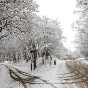 imska idila na Zelenoj magistrali iznad zagrebačkog naselja Gajnice