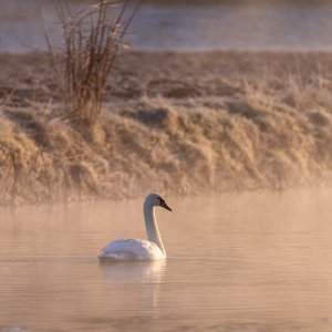 Najhladniji grad u Hrvatskoj jutros