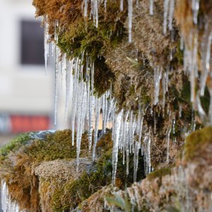 Perivoju Luje Maruna u Šibeniku