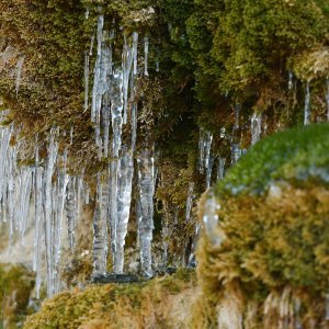 Perivoju Luje Maruna u Šibeniku