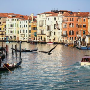 Venecija