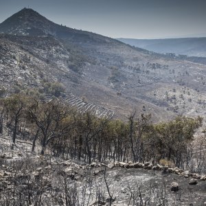 Zgarište u Žrnovnici u srpnju prošle godine