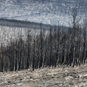 Zgarište u Žrnovnici u srpnju prošle godine