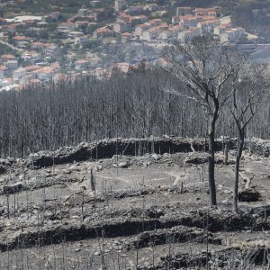 Zgarište u Žrnovnici u srpnju prošle godine