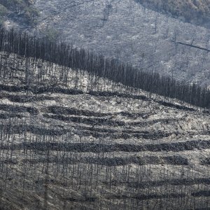 Zgarište u Žrnovnici u srpnju prošle godine